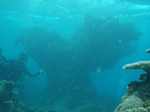 2009.07.9-13 118.jpg